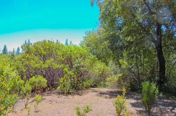 14515 Manzanita Road, Sutter Creek, CA 95685