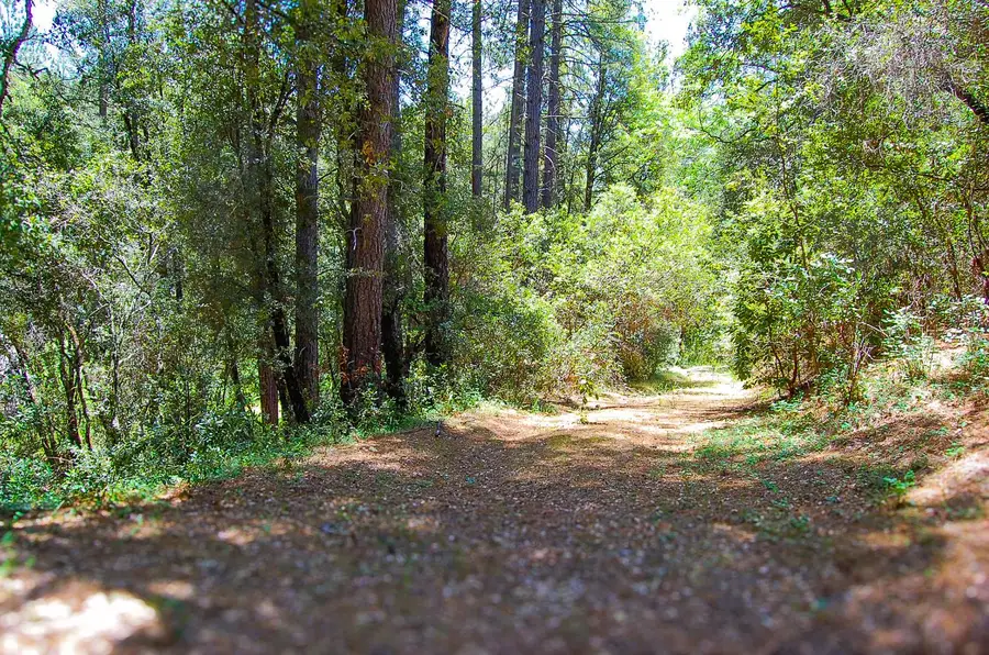 14515 Manzanita Road, Sutter Creek, CA 95685 - Image #2