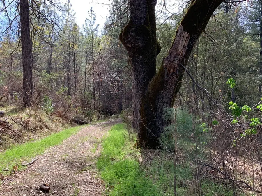 0 Old Schoolhouse Road, Somerset, CA 95684 - Image #2