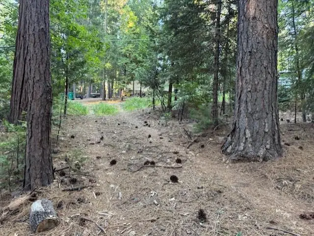 6235 Terrace Drive, Pollock Pines, CA 95726 - Image #2