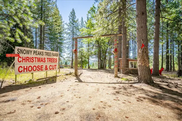 30100 Foresthill Road, Foresthill, CA 95631