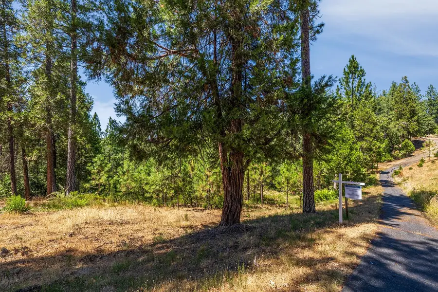 1712 The Point Road, Meadow Vista, CA 95722 - Image #2