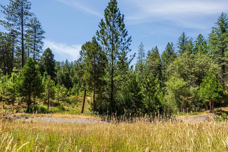 1712 The Point Road, Meadow Vista, CA 95722 - Image #3