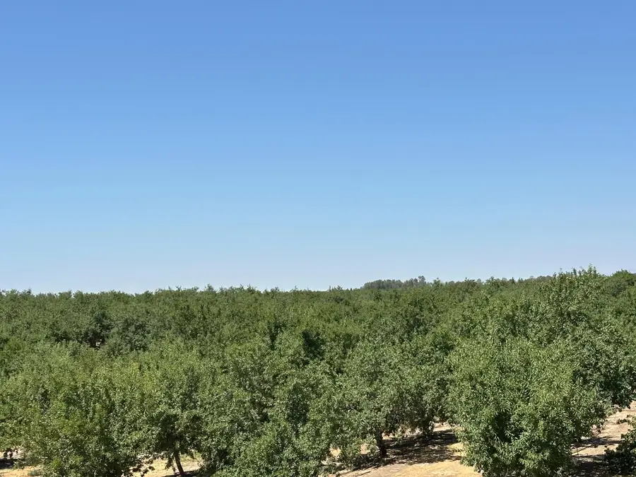 29710 Avenue 15 1/2, Madera, CA 29710 - Image #3