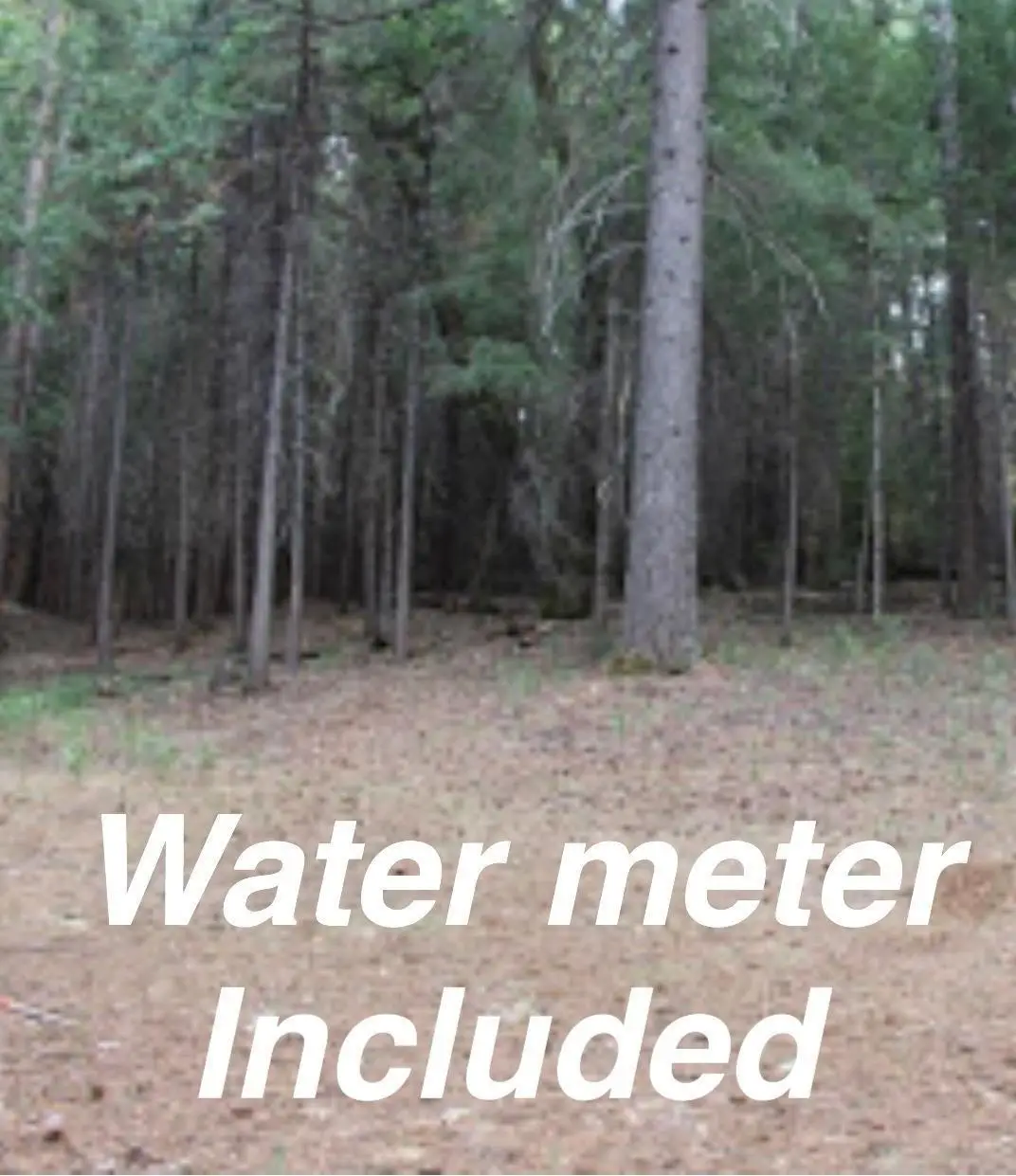 5511 Shooting Star Road, Pollock Pines, CA 95726 - Image #1