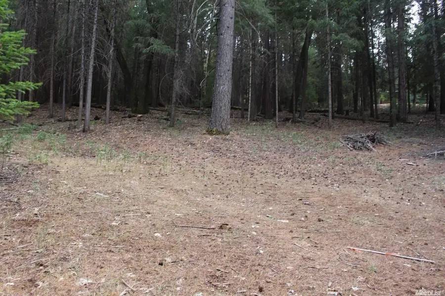 5511 Shooting Star Road, Pollock Pines, CA 95726 - Image #2