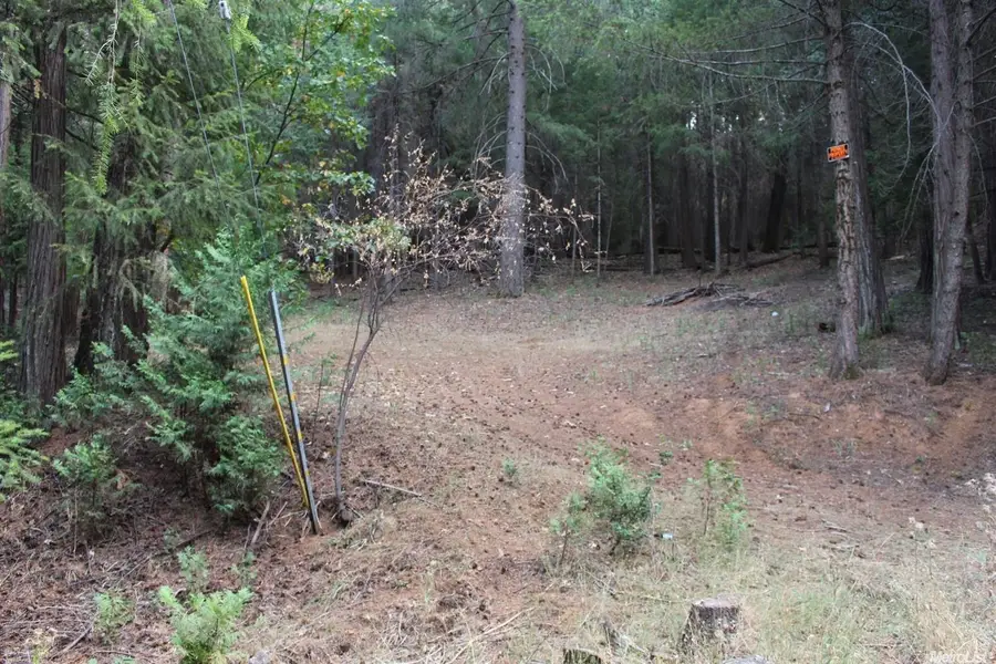 5511 Shooting Star Road, Pollock Pines, CA 95726 - Image #3