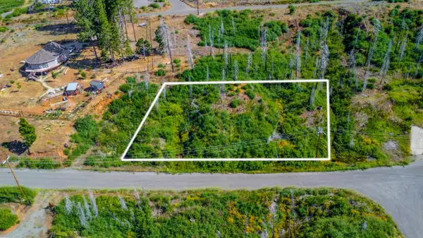 7676 Winding Way, Grizzly Flats, CA 95636