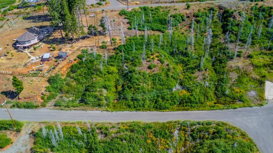 7676 Winding Way, Grizzly Flats, CA 95636 - Image #2