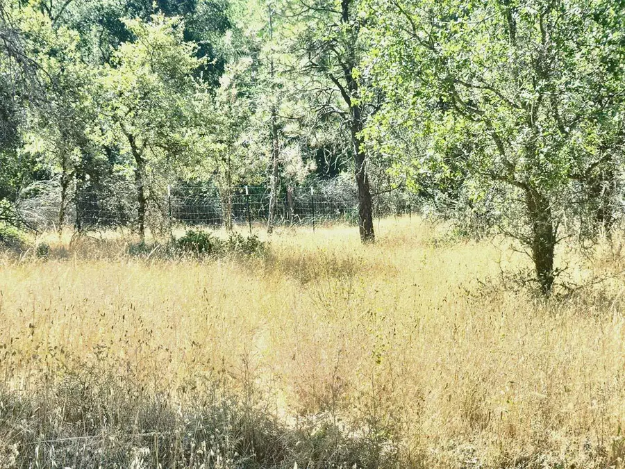 48 Rices Texas Hill Road, Oregon House, CA 95962 - #3