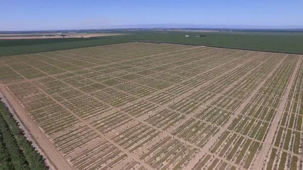 6783 County Road 33, Orland, CA 95963