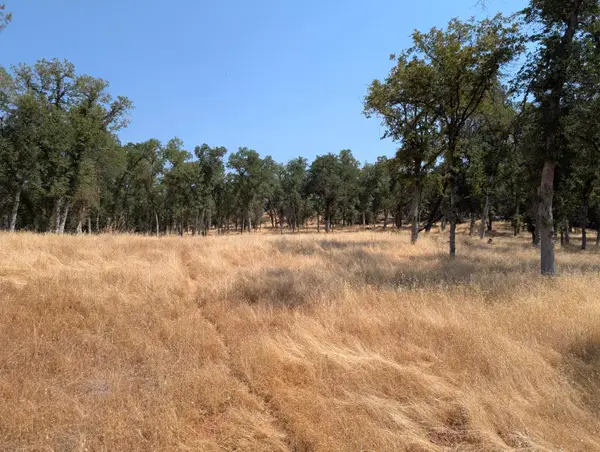 18340 Henry D. Court, Sonora, CA 95270