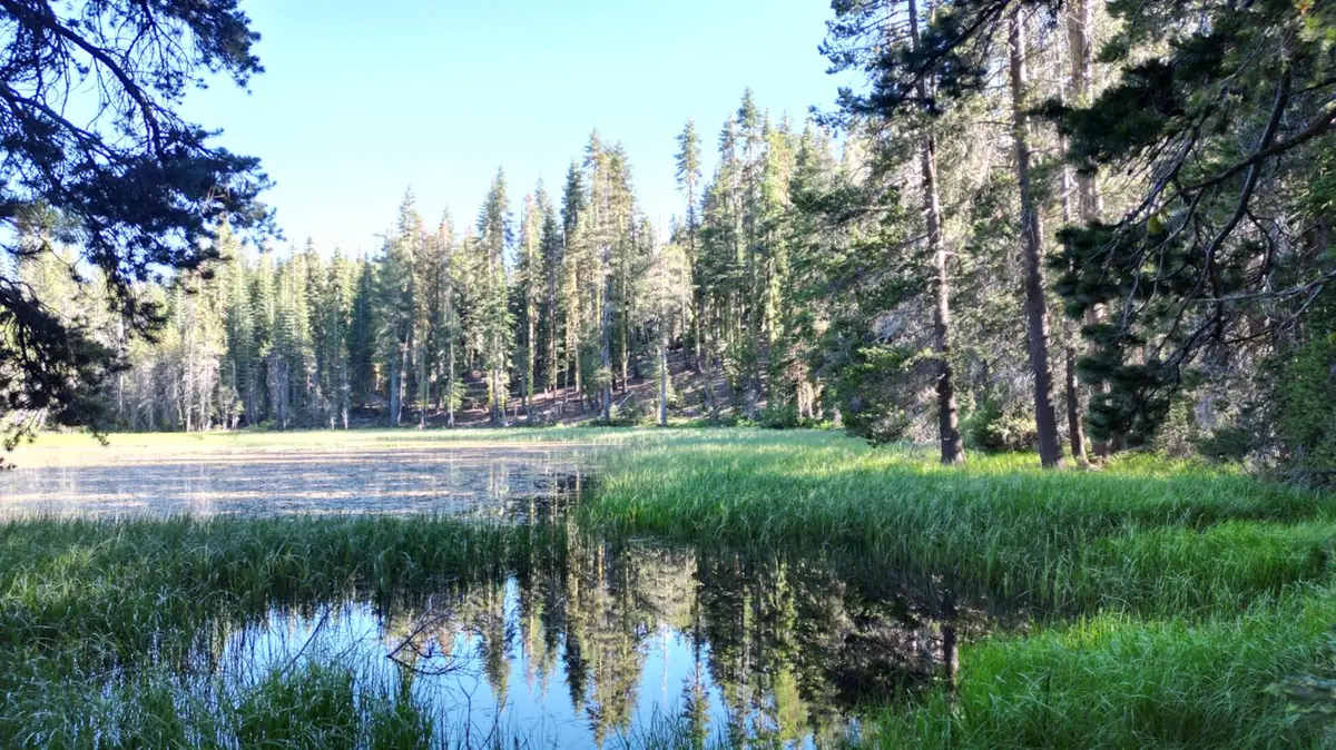 0 Forest 41 Road, Soda Springs, CA 95728 - Image #1