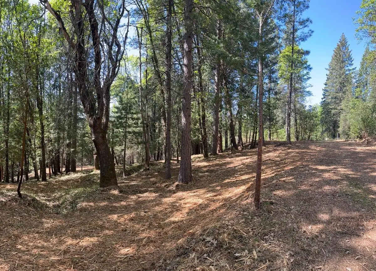 10950 Banning Way, Nevada City, CA 95959 - Image #1