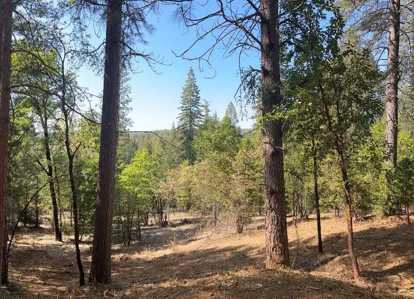 10950 Banning Way, Nevada City, CA 95959 - Image #3