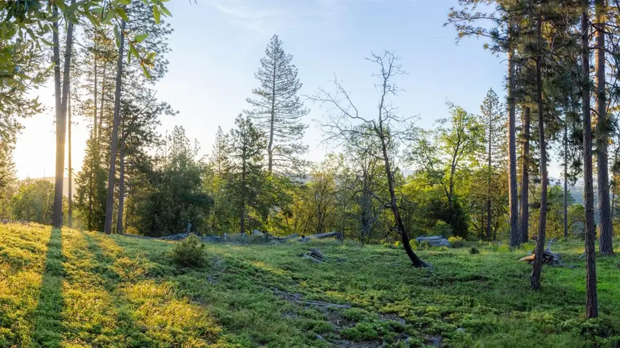 15793 Black Prince Road, Pioneer, CA 95666 - Image #2