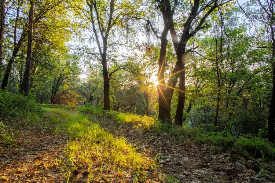 15793 Black Prince Road, Pioneer, CA 95666 - Image #3