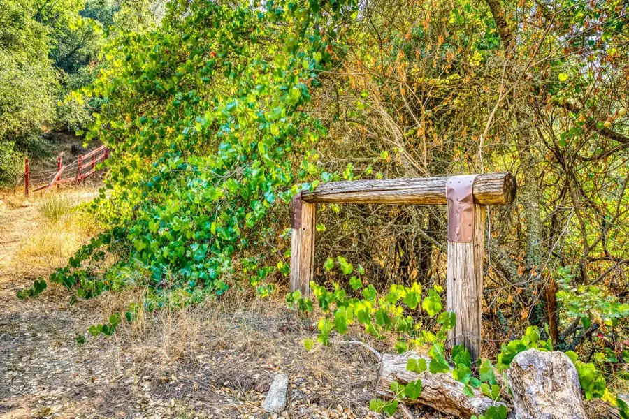 10 Secluded Way, Shingle Springs, CA 95682 - Image #3