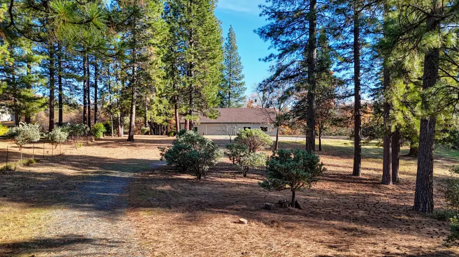 5271 Cosumnes Mine Road, Somerset, CA 95684 - Image #3