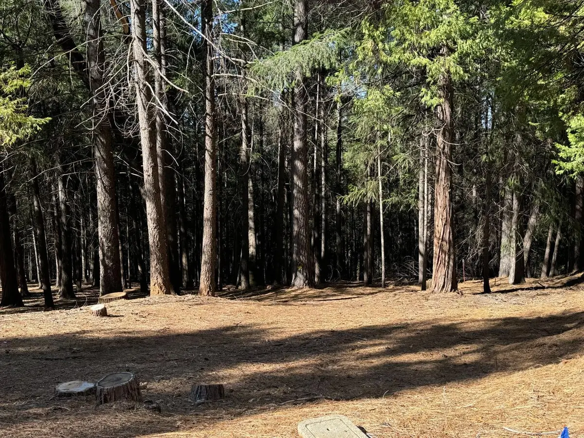 5771 Lupin Lane, Pollock Pines, CA 95726 - Image #1