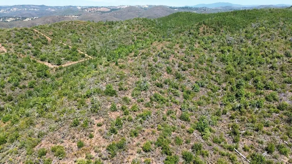 8519 Maranatha Lane, Mountain Ranch, CA 95246 - Image #1