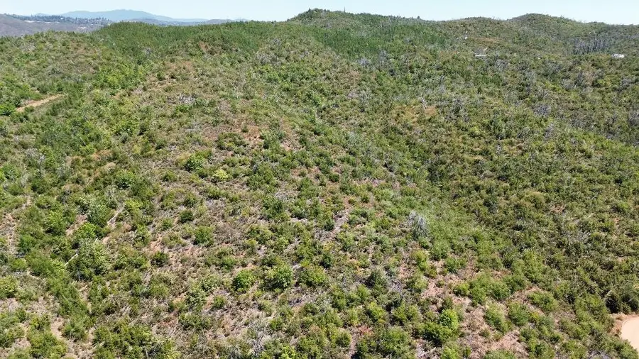 8519 Maranatha Lane, Mountain Ranch, CA 95246 - Image #3