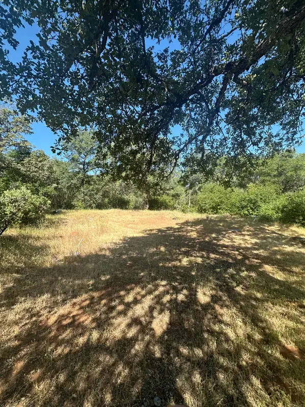 17232 Golden Arrow Trail, Rackerby, CA 95972