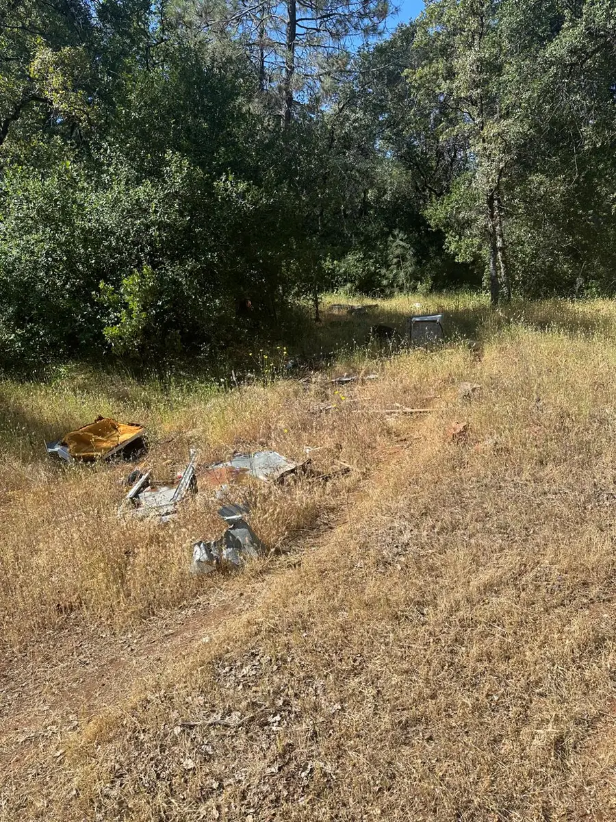 17232 Golden Arrow Trail, Rackerby, CA 95972 - Image #2