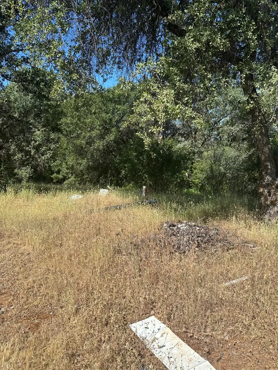 17232 Golden Arrow Trail, Rackerby, CA 95972 - Image #3