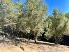 6700 Patsy Cline Lane, Somerset, CA 95684