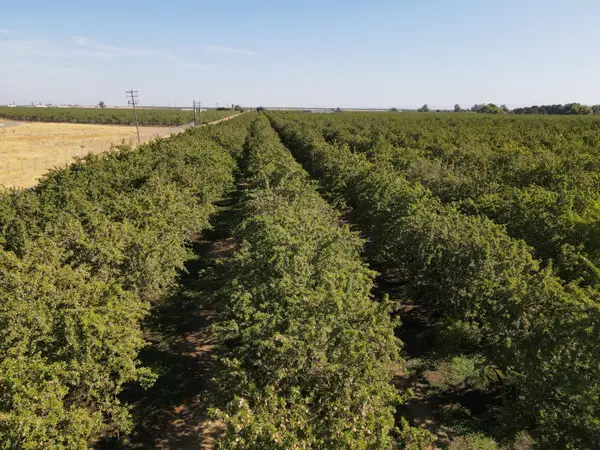 0 Fox Road, Atwater, CA 95301