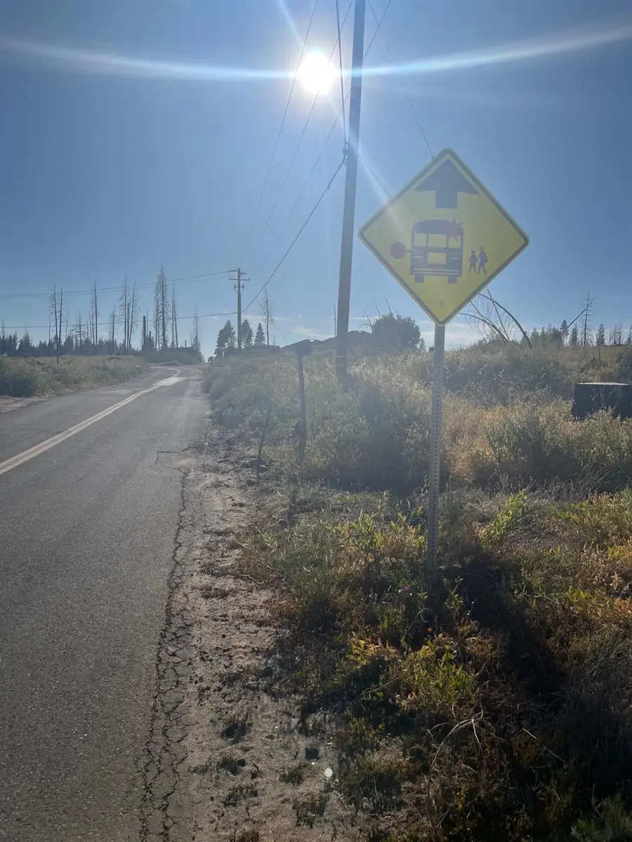 0 Grizzly Flat Road, Grizzly Flats, CA 95636 - Image #2