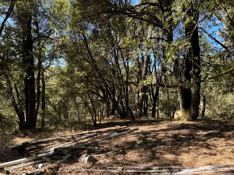 15539 Norvin Way, Grass Valley, CA 95949 - Image #2