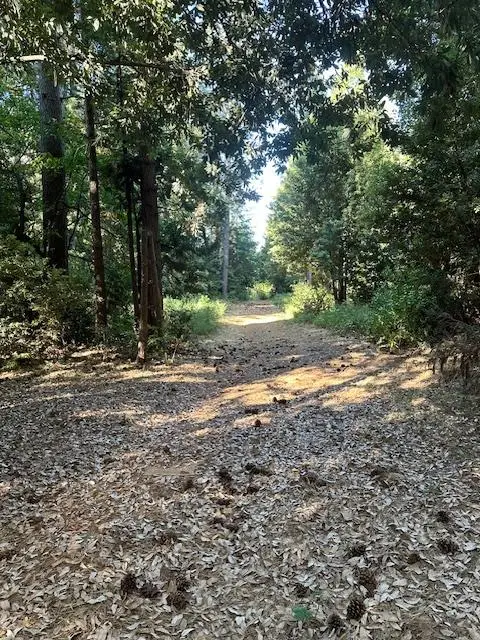 0 De Groot Lane, Camptonville, CA 95922 - Image #2