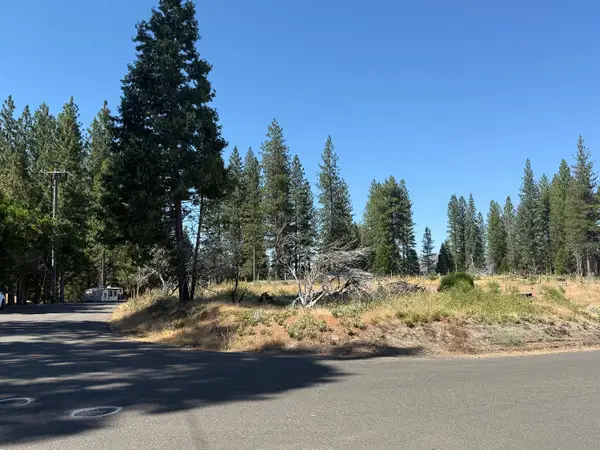 9981 Grizzly Flat Road, Grizzly Flats, CA 95636