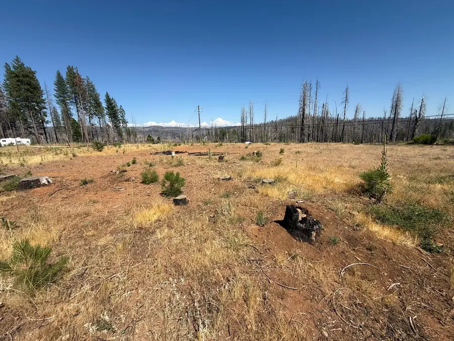 9981 Grizzly Flat Road, Grizzly Flats, CA 95636 - Image #2