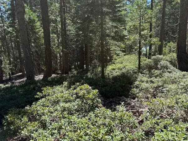 2780 Cedarview Court, Strawberry Valley, CA 95981