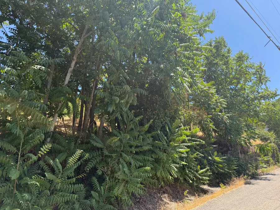 109 Gatewood Avenue, San Andreas, CA 95249 - Image #3