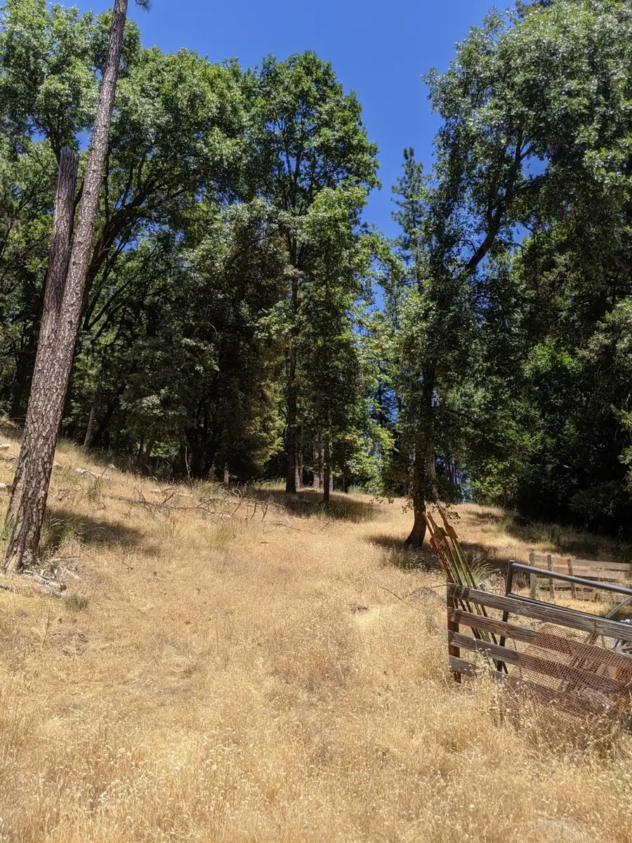 17721 Knoll Top Drive, Grass Valley, CA 95945 - Image #3