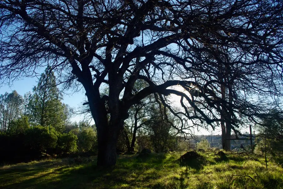 14331 Beitler Road, Nevada City, CA 95959 - Image #2