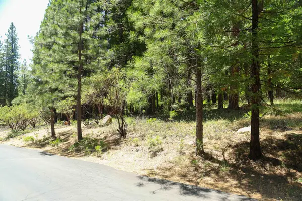 0 Rainbow Trail, Pollock Pines, CA 95726