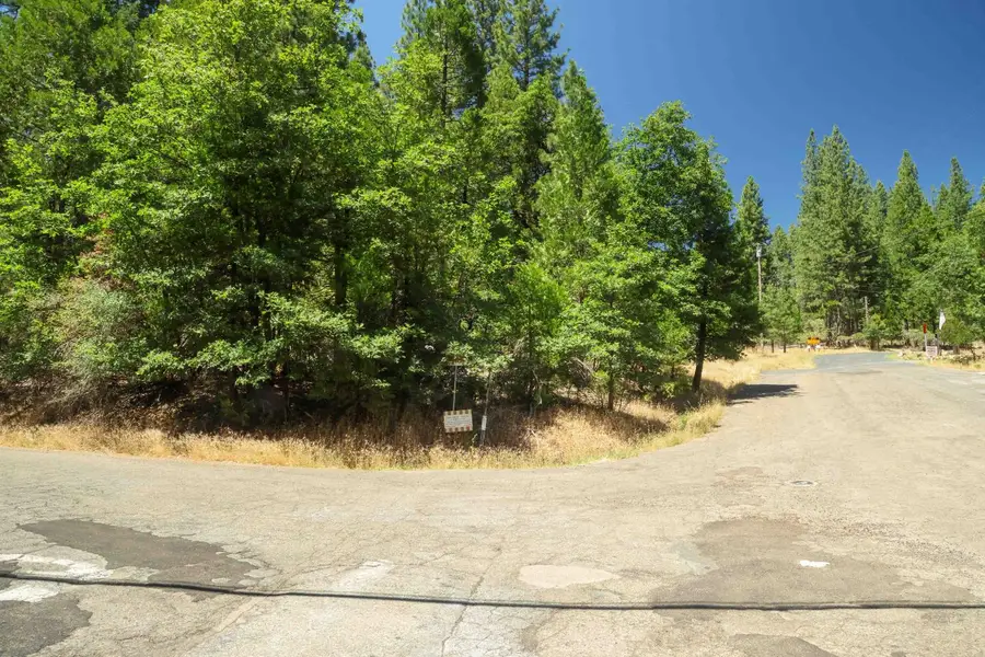 0 Speckled Road, Pollock Pines, CA 95726 - Image #3