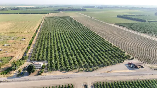 787 W Sutter Island Cross Road, Courtland, CA 95615