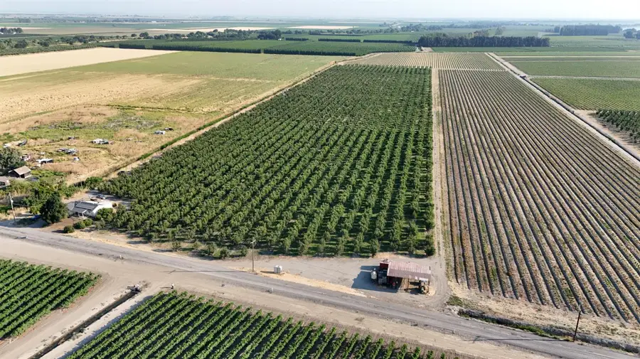 787 W Sutter Island Cross Road, Courtland, CA 95615 - Image #2