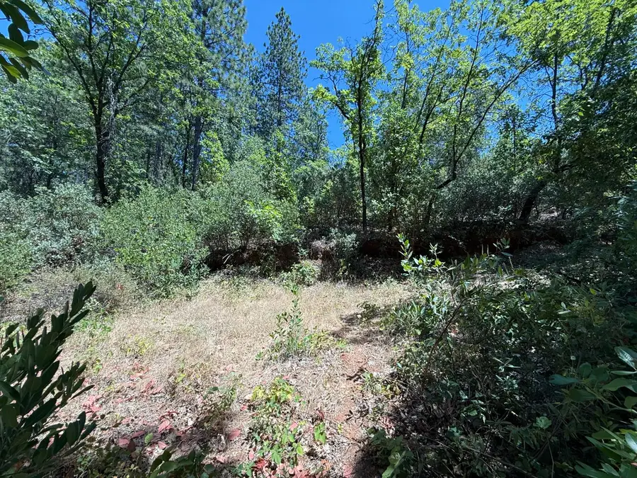 14973 La Place Lane, Dobbins, CA 95935 - Image #3