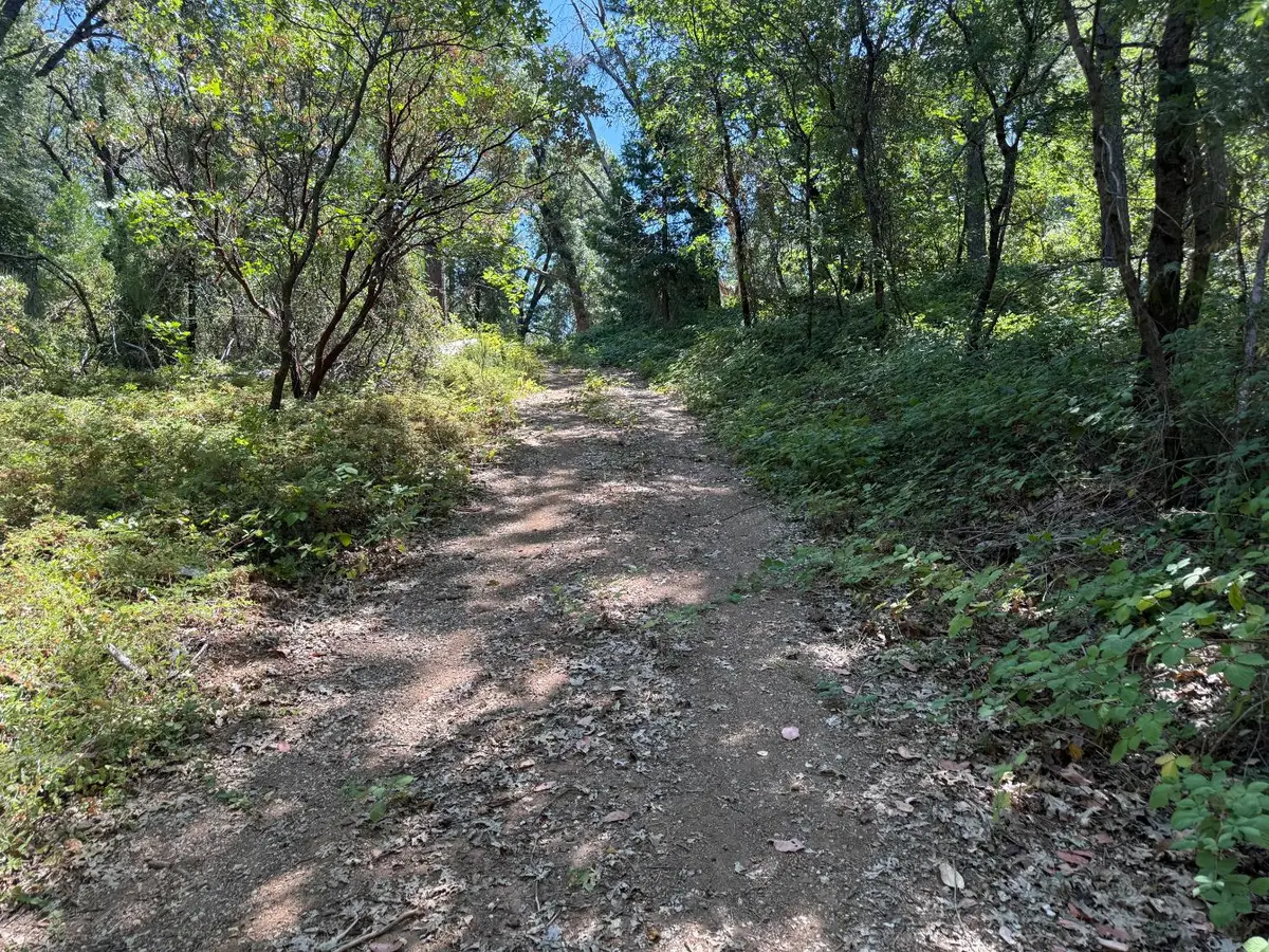 15473 Blind Shady Road, Nevada City, CA 95959 - Image #1