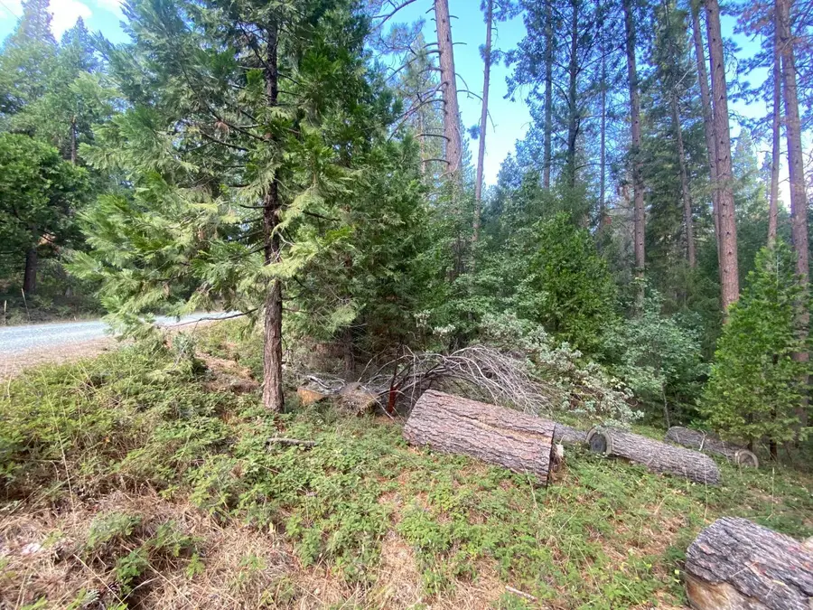 5483 Poor Mans Way, Wilseyville, CA 95257 - Image #2