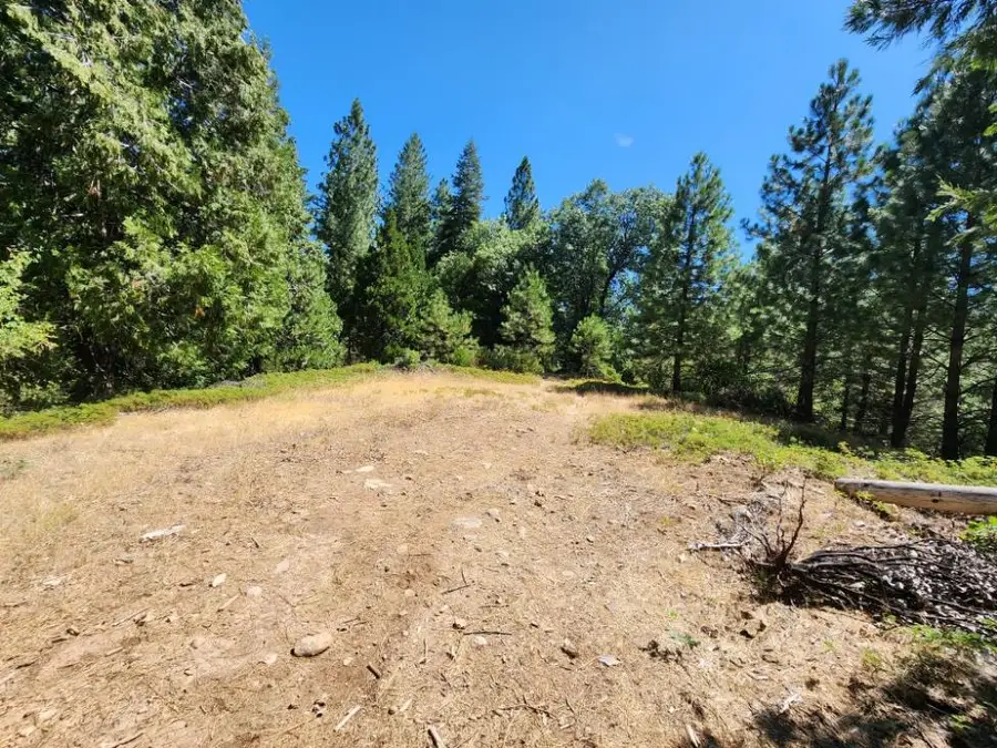 0 Lily Valley Cr, West Point, CA 95255 - Image #3