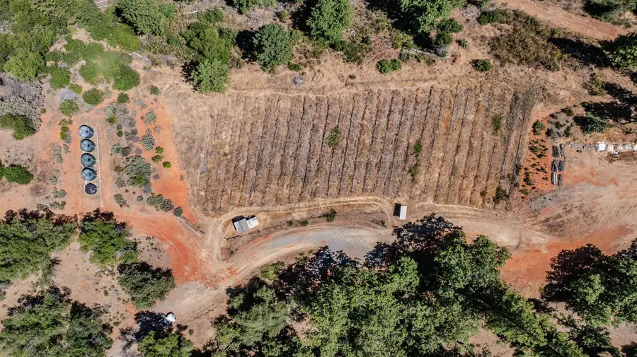 2781 Mason Road, Arnold West Point, CA 95245 - Image #3