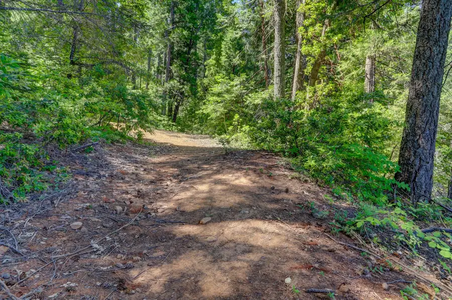 0 Rooskie Way, Nevada City, CA 95959 - Image #3